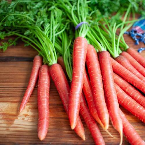 Pathayam.in - Online Grocery Shopping Trivandrum - Fruits, Vegetables ...